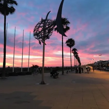 Conil Terraza Playa *