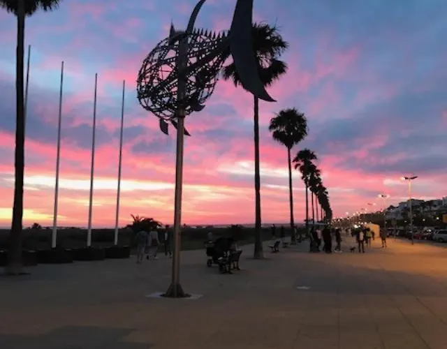Conil Terraza Playa *
